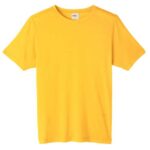 Unisex Fusion ChromaSoft™ Performance T-Shirt