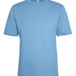 Unisex Capital Performance T-Shirt