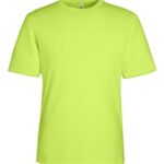Unisex Capital Performance T-Shirt