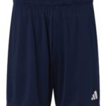 Men's Entrada 26 Shorts