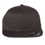 Pro-Baseball On Field Cap