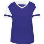 Women's Triblend Fanatic 2.0 V-Neck T-Shirt