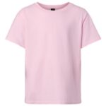 Youth Softstyle® T-Shirt