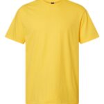 Unisex Softstyle® CVC T-Shirt