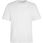 Unisex Capital Performance T-Shirt