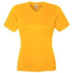 Women's Zone Performance Mesh T-Shirt