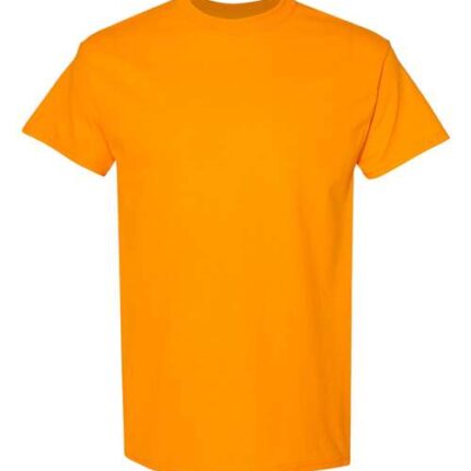 Unisex Heavy Cotton™ T-Shirt