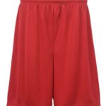 Men's Performance Shorts