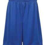 Men's Performance Shorts