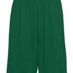 Youth Training Shorts