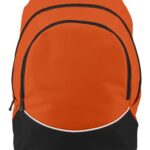 Tri-Color Backpack