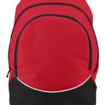 Tri-Color Backpack