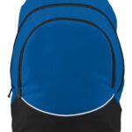 Tri-Color Backpack