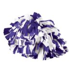 Spirit Cheer Pom