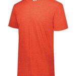 Unisex Triblend T-Shirt