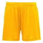 Women's Mesh Shorts