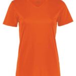 Women's Momentum V-Neck T-Shirt